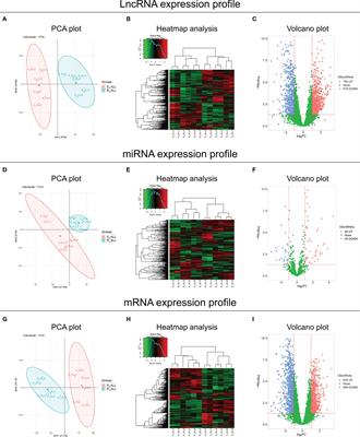 Targeting the lncRNA DUXAP8/miR-29a/PIK3CA Network Restores Doxorubicin Chemosensitivity via PI3K-AKT-mTOR Signaling and Synergizes With Inotuzumab Ozogamicin in Chemotherapy-Resistant B-Cell Acute Lymphoblastic Leukemia